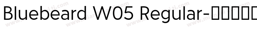 Bluebeard W05 Regular字体转换